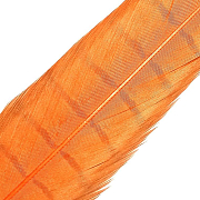 HENDS Центральное хвостовое перо фазана Pheasant Tail 1 шт. Fl.Orange
