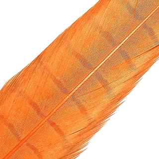 HENDS Центральное хвостовое перо фазана Pheasant Tail 1 шт. Fl.Orange
