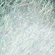  Даббинг HENDS Products Spectra Dubbing White Green #91