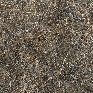 WAPSI Даббинг Sow Scud Dubbing DARK SOW BUG #261