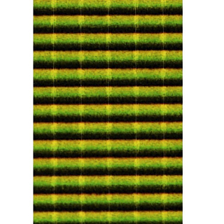 Сибирский Лов Пленка для тела Шитик цветной 2,3 мм прозрачная (цвет  1)