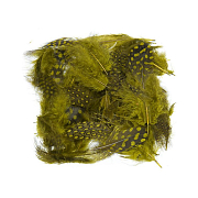 VENIARD Перья цесарки Guinea fowl Plumage dyed 2 gram mixed Olive