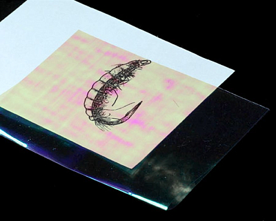 Sybai Пленка Flash Back, Pearl