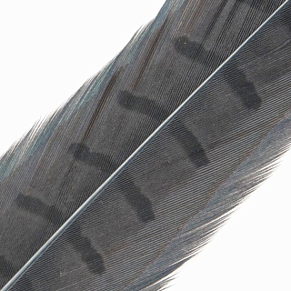 HENDS Центральное хвостовое перо фазана Pheasant Tail 1 шт. Henon Grey