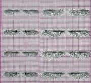 FLY-FISHER Заготовки для крылышек веснянки