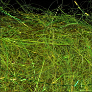 WAPSI Даббинг SLF Dave Whitlock Dubbing DRAGONFLY NYMPH OLIVE #09