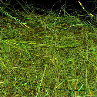 WAPSI Даббинг SLF Dave Whitlock Dubbing DRAGONFLY NYMPH OLIVE #09