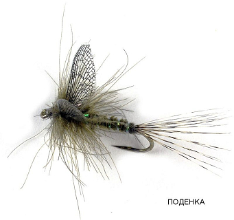 FLY-FISHER Заготовки для крылышек поденки