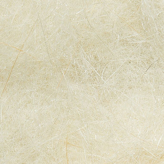 WAPSI Даббинг Life Cycle Nymph Dubbing CAHILL CREAM #094