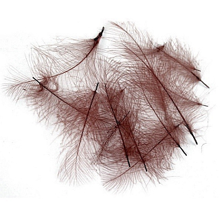 FLY-FISHING Перья CDC Coachman Brown (0,2 гр.)