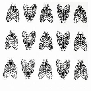 Zima&лето Крылья для имитации овода, мухи, ручейника №14-12 (15шт)