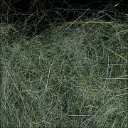 WAPSI Даббинг SLF Dave Whitlock Dubbing CRAYFISH SANDY GRAY