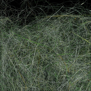 WAPSI Даббинг SLF Dave Whitlock Dubbing CRAYFISH SANDY GRAY