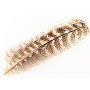 WAPSI Индюшиные маховые перья Turkey Wing Quill MOTTLED OAK #2