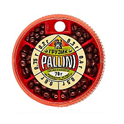 Набор грузов PALLINI - 70 (мягкий свинец)