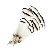 VENIARD Шейные перья алмазного фазана Amherst Pheasant Tippets Large Natural