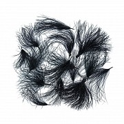 HENDS Перья CDC 1гр. BLACK