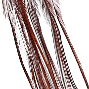 Перья Whiting, цвет коричн., 2 шт.