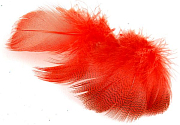 FLY-FISHING Перья селезня MALLARD FLANKS Hot Orange