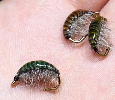 Набор "Спинки Бокоплавов" (20 шт), желтый