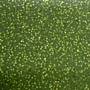 JPF Силикон Wakasagi 5х5см, #25 зеленый с блестками