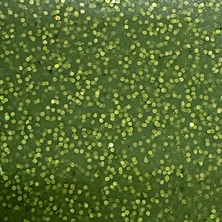 JPF Силикон Wakasagi 5х5см, #25 зеленый с блестками