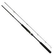 Спиннинг PRO TRUST Pro Prime Game Shore Jigging 1002MH 3.05m, 20-80g