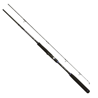 Спиннинг PRO TRUST Pro Prime Game Shore Jigging 1002MH 3.05m, 20-80g