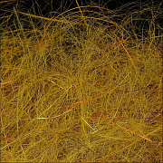 WAPSI Даббинг SLF Dave Whitlock Dubbing CRAYFISH BROWN