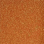 JPF Силикон светонакопительный Wakasagi Glow 5х5см, #19 оранжевый с блестками