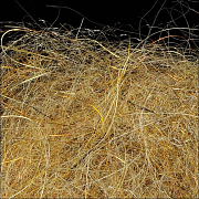 WAPSI Даббинг SLF Kaufmann TAN GAMMARUS SCUD