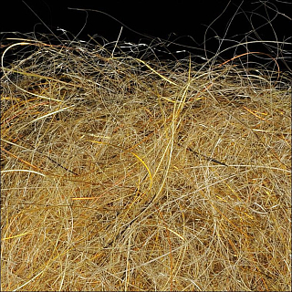 WAPSI Даббинг SLF Kaufmann TAN GAMMARUS SCUD