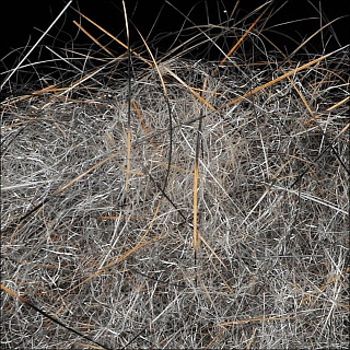 WAPSI Даббинг SLF Dave Whitlock Dubbing SOWBUG GRAY #03