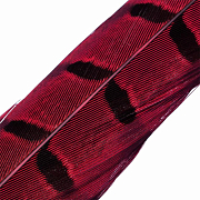 HENDS Центральное хвостовое перо фазана Pheasant Tail 1 шт. Red