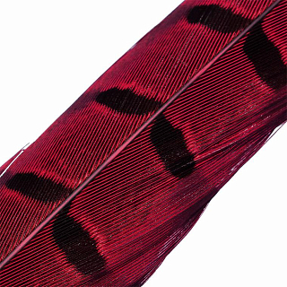 HENDS Центральное хвостовое перо фазана Pheasant Tail 1 шт. Red