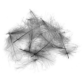 FLY-FISHING Перья CDC Black (0,2 гр.)