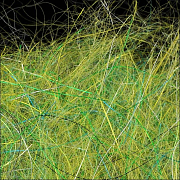 WAPSI Даббинг SLF Kaufmann OLIVE GAMMARUS SCUD