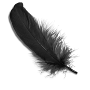 VENIARD Гусиные перья Goose shoulder Stiff Dyed Black