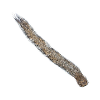 WAPSI Хвост белки Squirrel Tail NATURAL GRAY