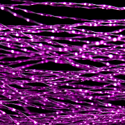 Люрекс крученый FM08 (Kosadaka)