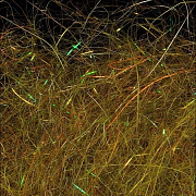 WAPSI Даббинг SLF Dave Whitlock Dubbing DIRTY OLIVE #26