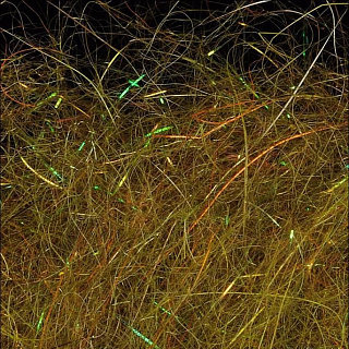 WAPSI Даббинг SLF Dave Whitlock Dubbing DIRTY OLIVE #26