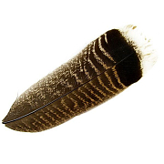 HARELINE Индюшиные хвостовые перья Cinnamon Turkey Tail Feathers