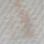 HEMINGWAY Реалистичные ножки Realistic Soft Legs / 10pcs bag / small Yellow / Clear