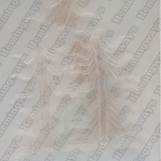 HEMINGWAY Реалистичные ножки Realistic Soft Legs / 10pcs bag / small Yellow / Clear