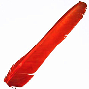 HARELINE Маховые перья индюка Turkey Biot Quills RED