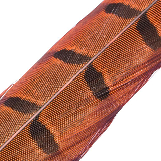 HENDS Центральное хвостовое перо фазана Pheasant Tail 1 шт. Orange
