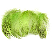 FLY-FISHING Перья селезня MALLARD FLANKS Chartreuse