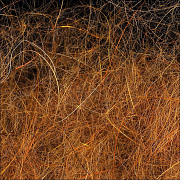 WAPSI Даббинг SLF Dave Whitlock Dubbing SCULPIN GOLDEN BROWN #18